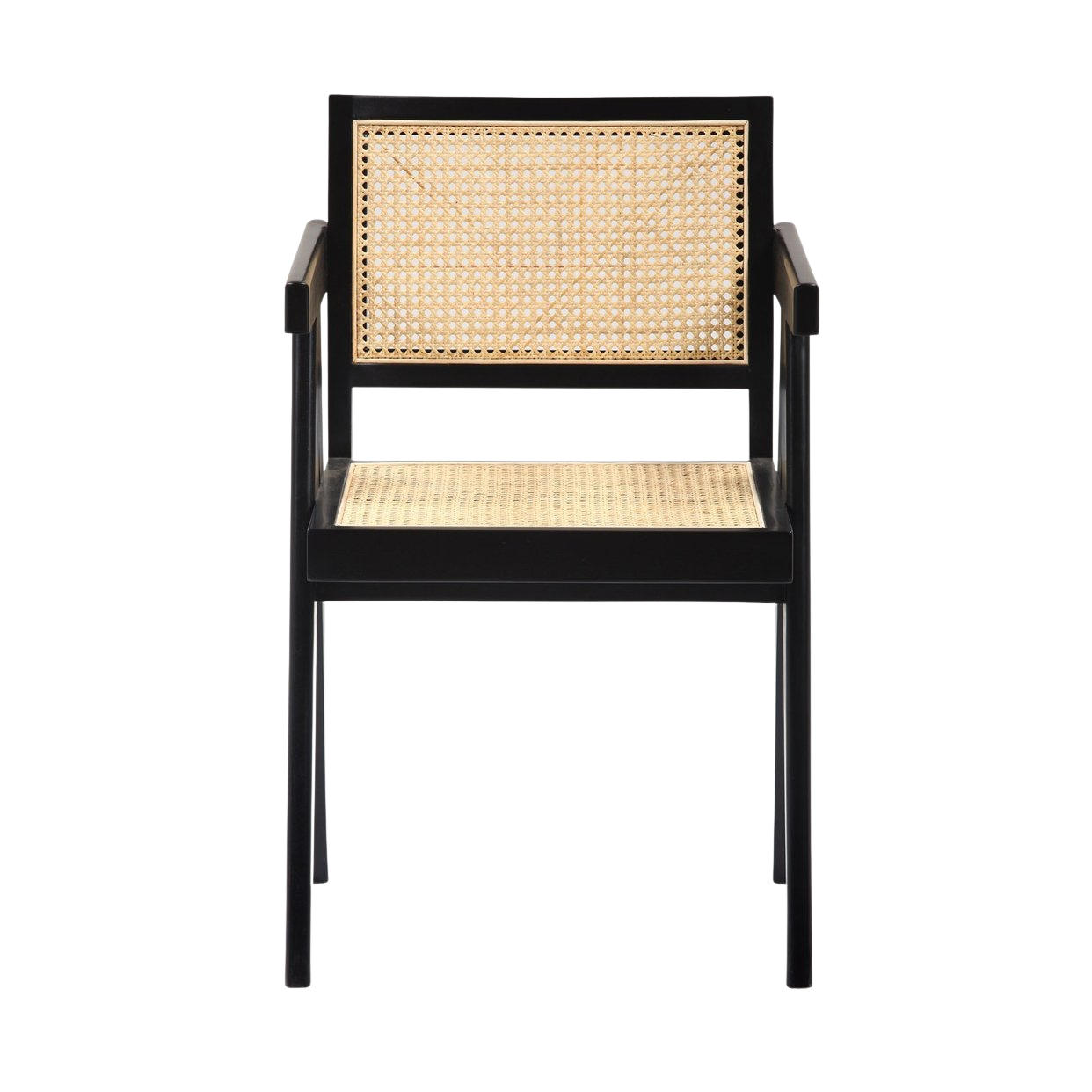 France & Son Accent Chair - Nina Takesh